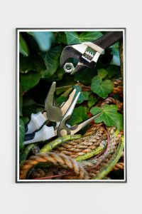 Mimikry_Anne Florin_3