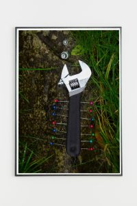 Mimikry_Anne Florin_4