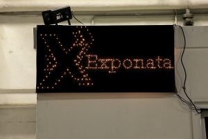 Exponata-2009_5