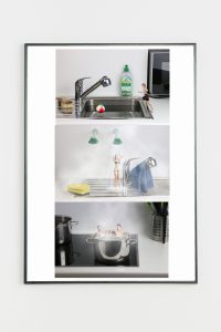 Mimikry_Anne-Mieke_1