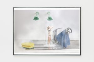 Mimikry_Anne-Mieke_3